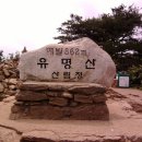 [제122차정기산행] 경기도 가평군 / 양평군 유명산(有明山 - 862M, 20190810) 산행계획 이미지