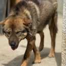 재왕 농장 이미지