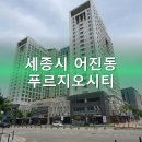 어진동세종푸르지오씨티 | 세종시 어진동 푸르지오시티, 1회 유찰된 고위험 고수익 아파트 경매 분석!