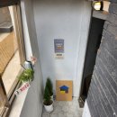 손씨(sonsy)
