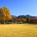 대구수목원 이미지