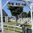 새물목장 이미지