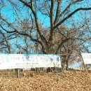 밤섬농장 이미지