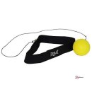 리플렉스 이미지