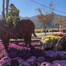 행정사감병기사무소 이미지