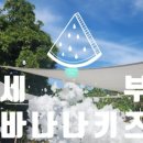 바나나 | 세부어학연수 바나나키즈 방문후기!