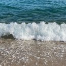 해인목장 이미지