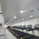 테일러짐 이미지