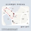 오드리헤어 이미지