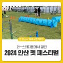 파파 펫 푸드 | 2024 안산 펫 페스티벌을 가다!