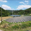 남면농장 이미지