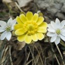 하늘봄사진관 이미지