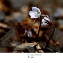 DAWN COFFEE(새벽커피) 이미지