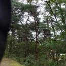 원주굽이길 4코스 꽃양귀비길 이미지