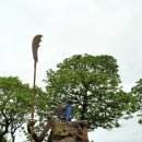 나무 206 이미지