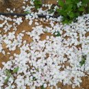 옥이네농장 이미지