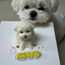 오븐앤도그 이미지