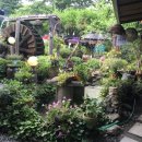 이집이좋겠네 이미지