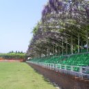 등나무운동장 이미지