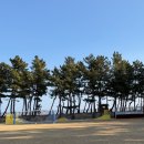 남애초등학교 이미지