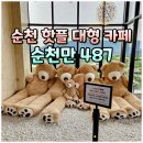 순천만 습지 | 순천만습지 핫플 순천만 487 예쁜 순천 디저트 카페 후기