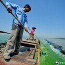 태호축사 이미지