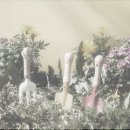 화산인프라