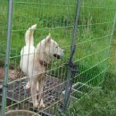 바람골농장 이미지