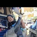 활어바다친구 이미지