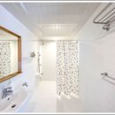 스테이화가 이미지