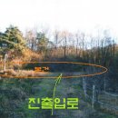 대구동_강릉 - 4459 | 대구동_강릉