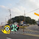7번가피자부산 이미지