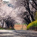 고남저수지 이미지