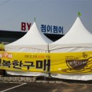 놀스타 이미지