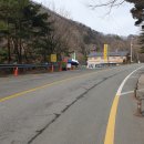410민박 이미지