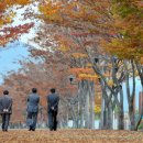 100세프라임