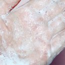 퍼플네이쳐 이미지