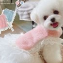 강아지 멋내기 이미지