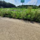 부동농장 이미지