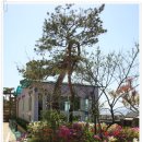 바다요정 이미지