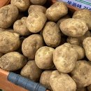 선우농산