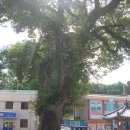 사곡면사무소 이미지