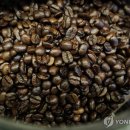 커피47