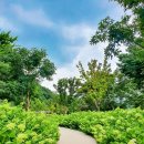 대천천누리길 화장실 이미지