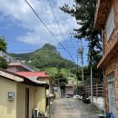 스테이, 토닥 in ulleung 이미지