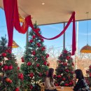 온정주유소 | 화성 수원 크리스마스 카페, 도나스데이 본점, 서울근교 크리스마스 카페 추천