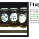 일루미랩