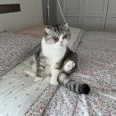 행복이불 이미지