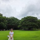 (주)해인고속관광 | 대구출발 청와대 예약 버스여행 후기