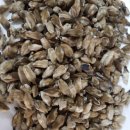 대안한의원 이미지